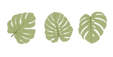 Vector stock illustration of tropical leaves. Monstera leaves. Watercolor greenery plant. Template for stickers, stencil. Close-up of tropical leaves isolated on a white background. Flat style.