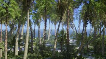 Paradise landscape of tropical beach with calm ocean waves and palm trees video