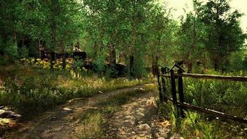 old wooden fence and dirt road in the countryside at summer season video