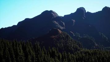 colpo grandangolare del paesaggio montano con foresta primaverile video