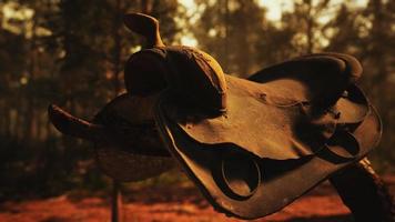 Selle de cheval en cuir vintage sur l'arbre mort en forêt au coucher du soleil video