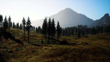 vista panoramica della catena montuosa con alberi in autunno video