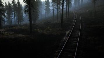 área de recreación del bosque nacional y la niebla con ferrocarril video