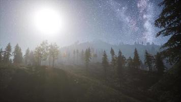 étoiles de la voie lactée au clair de lune au-dessus de la forêt de pins