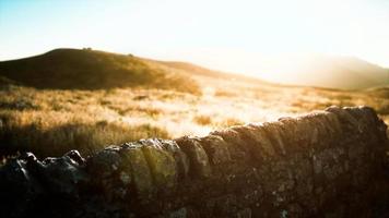 Scottish land border stone wall at sunset video