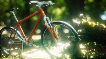 Mountain bike on the forest path video
