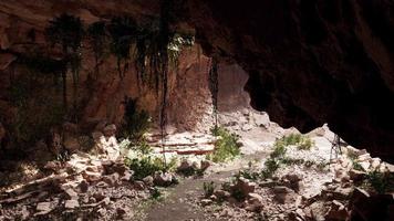 vista de dentro de uma caverna escura com plantas verdes e luz na saída