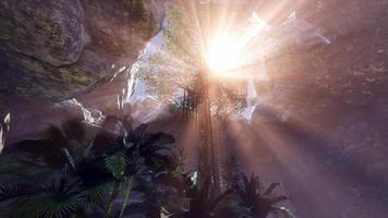 lumière du soleil à l'intérieur de la grotte mystérieuse