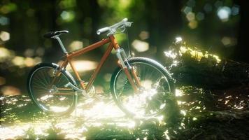 bicicleta de montaña en el camino del bosque
