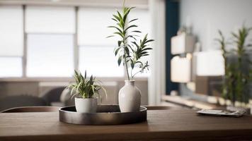 Zimmerpflanze mit weißem Blumentopf auf Holztisch
