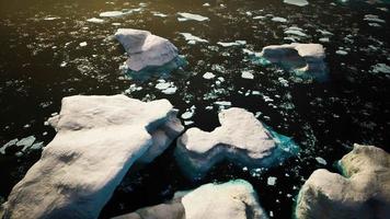 ice icebergs in Greenland at summer video