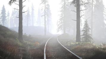 empty railway goes through foggy forest in morning video