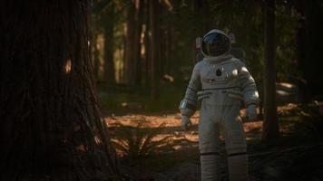 ensam astronaut i mörk skog video