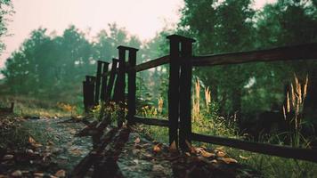 old wooden fence and dirt road in the countryside at summer season video