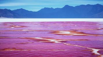 hermosa vista del lago rosa en el día de verano video
