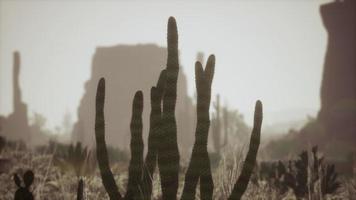 raio de luz solar atirando no céu do deserto ao pôr do sol video