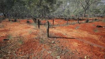 Clôture de dingoe dans l'outback australien video