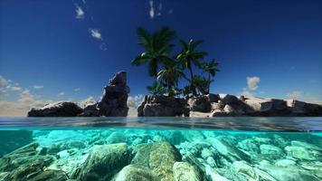 delad vy tvärsnitt av havsvatten och palmer på ön video