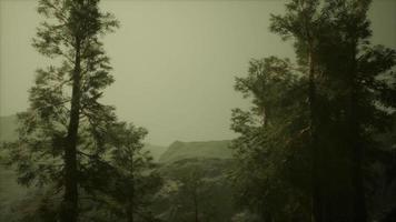 Fog and pine trees on rugged mountainside and coming storm video