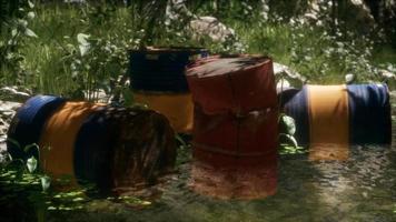 Rusty barrels in green forest video