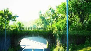 puente de arco con ramas vivas de arbustos en el parque video