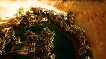 top down aerial view of oasis in desert video