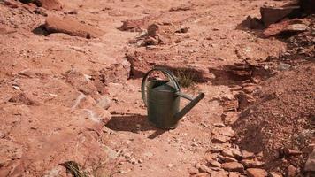 canette de boisson dans le désert de sable et de rochers video