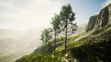 paisaje escénico con acantilados y árboles durante un día soleado video