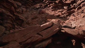 rocas rojas del parque nacional del gran cañón video