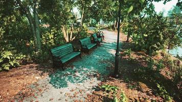 leere bänke im park während der quarantäne aufgrund der pandemie covid-19
