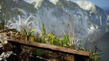 fresh grass at big rocky cliff in ocean video