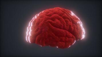 Loop Rotating Human Brain Animation video