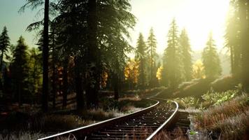 autumn colours along a railway track at sunset video