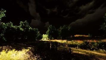 Thunderstorm clouds with lightning in green meadow video