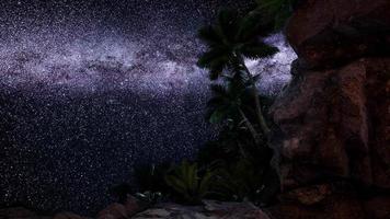 Tracce stellari 4K hyperlapse su pareti di canyon di arenaria e palme video