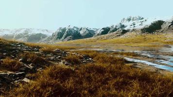 bred dalstäpp med gult gräs under en molnig himmel på bergskedjorna video