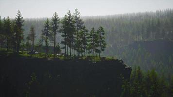 Immergrüner Tannenbaum und Berge auf einem Hintergrund bei einem Sonnenuntergang nach dem Regen video