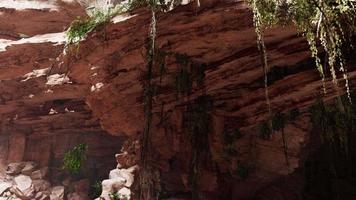 inside a limestone cave with plants and sun shine video