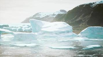 grandes icebergs perto da região da Groenlândia video