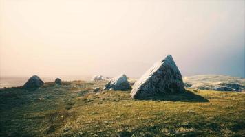 alpine meadow with rocks and green grass video