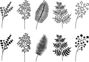 set of hand drawn modern tropical exotic leaves and branches silhouette, decorative elements. vector illustration