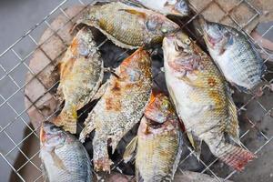 pescado a la parrilla a la parrilla, pescado de tilapia a la parrilla con sal para cocinar pescado quemar comida tailandesa