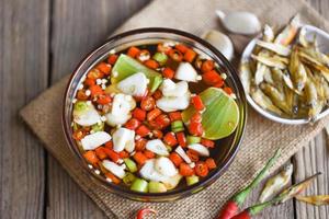 fish sauce on white bowl and fresh chili garlic lemon lime and small dried fish on sack, fish sauce obtained from fermentation fish or small aquatic animal, fermented foods photo