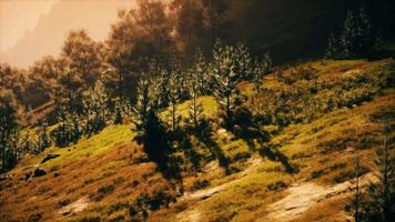 autumn morning with fog in mountains video