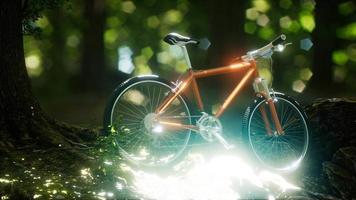 bicicleta de montaña en el camino del bosque