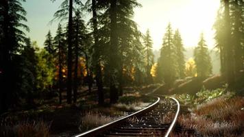 autumn colours along a railway track at sunset video