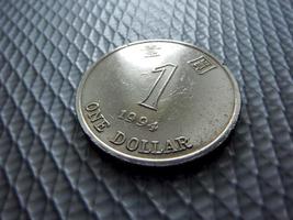 moneda de dólar hong nong
