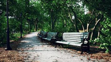 parque fechado vazio como prevenção da doença coronavírus covid-19 video