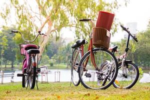 bicicleta vintage esperando en la hierba foto