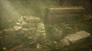 Hoary ruins of ancient city in pine forest video